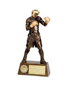 Pinnacle Boxing Trophy
