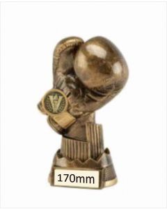 Apex Boxing Glove Trophy