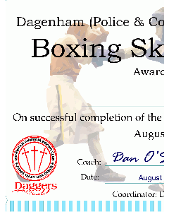 Custom award certificate