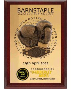 Bespoke 6" x 4" 'Barnstaple' boxing presentation plaque with rear support stand and resin boxing decoration