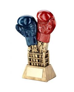 Blue Red Starburst Trophy