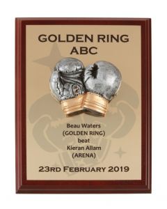 3D Gloves Boxing Plaque