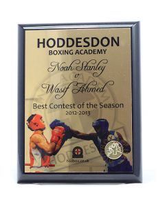 Deluxe Presentation Wall Plaque