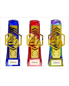HEX Boxing Gloves Trophy