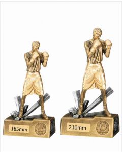 Male Boxer Trophy Award