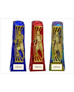 ROCK Boxing Trophy
