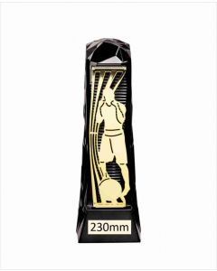 Shard Boxing Trophy PA23026A