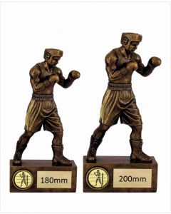 Stance Boxing Trophy