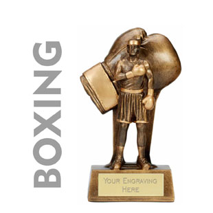 Boxing Trophies