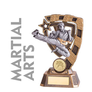 Martial Arts Trophies